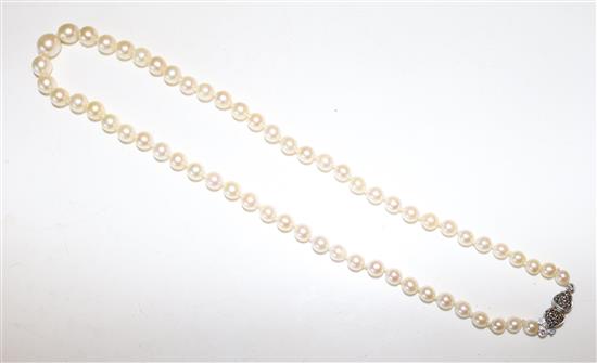 Single strand cultured pearl necklace